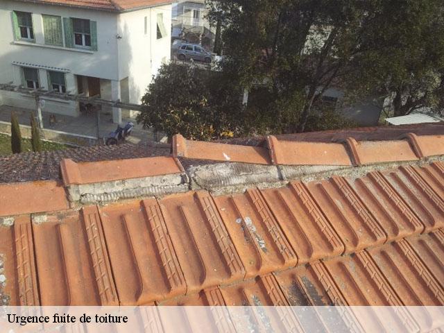 Urgence fuite de toiture  bregnier-cordon-01300 