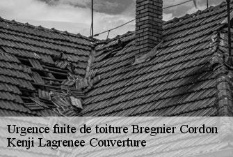 Urgence fuite de toiture  bregnier-cordon-01300 Kenji Lagrenee Couverture