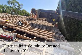 Urgence fuite de toiture  brenod-01110 Renov Pro 01