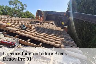 Urgence fuite de toiture  brens-01300 Renov Pro 01