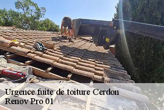 Urgence fuite de toiture  cerdon-01450 Renov Pro 01