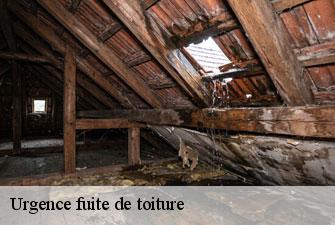 Urgence fuite de toiture ceyzeriat-01250 Kenji Lagrenee Couverture