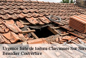Urgence fuite de toiture  chavannes-sur-suran-01250 Beaudier Couverture 