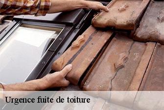 Urgence fuite de toiture  chavornay-01510 Renov Pro 01