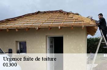 Urgence fuite de toiture  chazey-bons-01300 