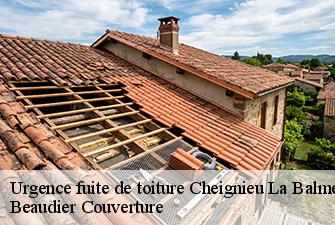 Urgence fuite de toiture  cheignieu-la-balme-01510 Beaudier Couverture 