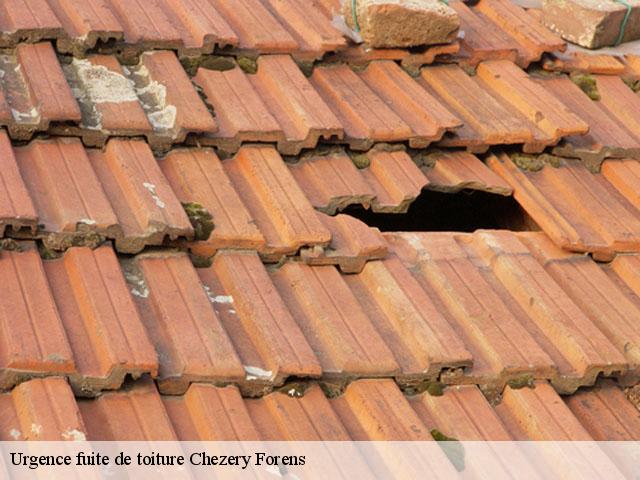 Urgence fuite de toiture  chezery-forens-01200 