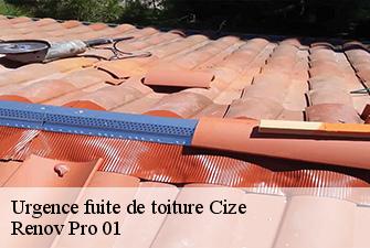 Urgence fuite de toiture  cize-01250 Renov Pro 01