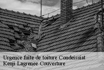 Urgence fuite de toiture condeissiat-01400 Kenji Lagrenee Couverture