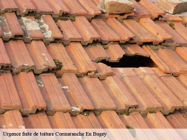 Urgence fuite de toiture  cormaranche-en-bugey-01110 
