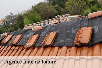 Urgence fuite de toiture  cormoranche-sur-saone-01290 Renov Pro 01