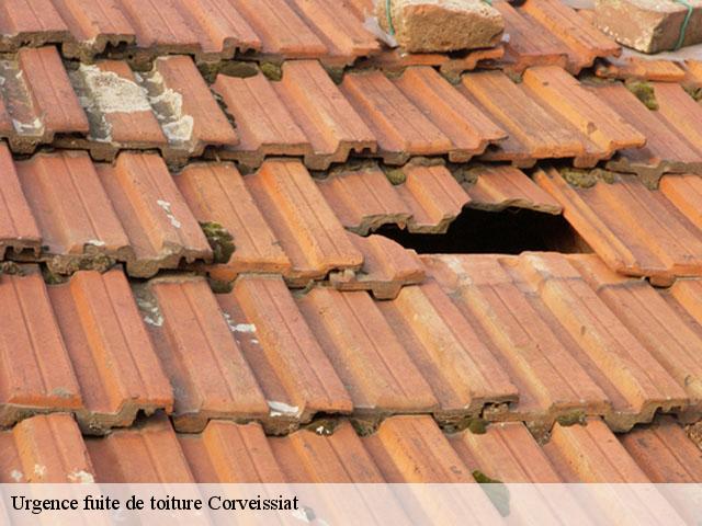 Urgence fuite de toiture  corveissiat-01250 