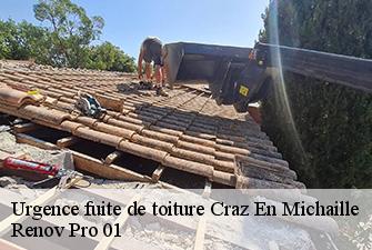 Urgence fuite de toiture  craz-en-michaille-01200 Renov Pro 01