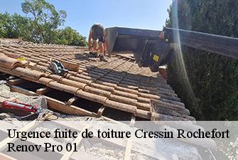 Urgence fuite de toiture  cressin-rochefort-01350 Renov Pro 01