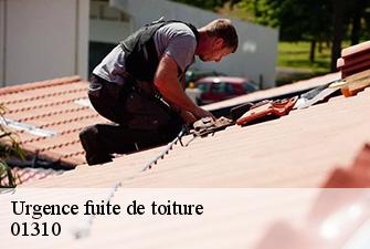Urgence fuite de toiture  curtafond-01310 Renov Pro 01