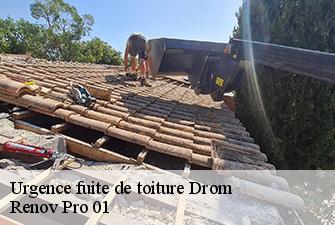 Urgence fuite de toiture  drom-01250 Renov Pro 01