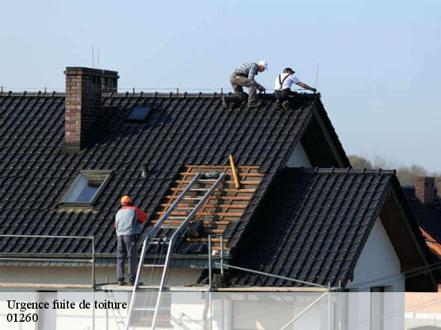 Urgence fuite de toiture  fitignieu-01260 
