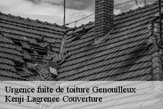 Urgence fuite de toiture genouilleux-01090 Kenji Lagrenee Couverture