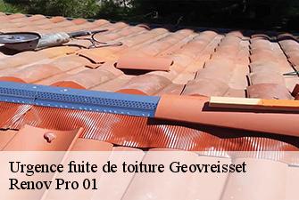 Urgence fuite de toiture  geovreisset-01100 Renov Pro 01