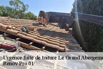 Urgence fuite de toiture  le-grand-abergement-01260 Renov Pro 01