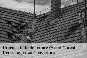 Urgence fuite de toiture grand-corent-01250 Kenji Lagrenee Couverture