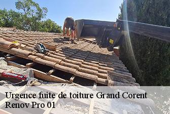 Urgence fuite de toiture  grand-corent-01250 Renov Pro 01