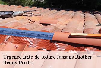 Urgence fuite de toiture  jassans-riottier-01480 Renov Pro 01