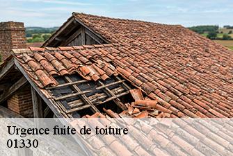 Urgence fuite de toiture  lapeyrouse-01330 Beaudier Couverture 