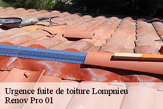 Urgence fuite de toiture  lompnieu-01260 Renov Pro 01