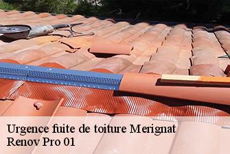 Urgence fuite de toiture  merignat-01450 Renov Pro 01