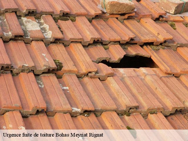 Urgence fuite de toiture  bohas-meyriat-rignat-01250 