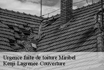 Urgence fuite de toiture miribel-01700 Kenji Lagrenee Couverture