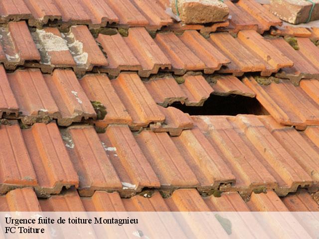 Urgence fuite de toiture  montagnieu-01470 