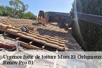 Urgence fuite de toiture  murs-et-gelignieux-01300 Renov Pro 01