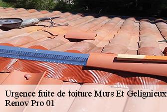 Urgence fuite de toiture  murs-et-gelignieux-01300 Renov Pro 01