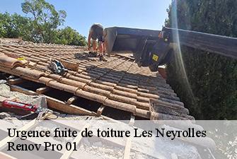 Urgence fuite de toiture  les-neyrolles-01130 Renov Pro 01