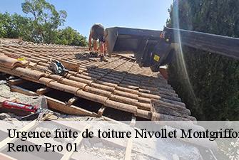 Urgence fuite de toiture  nivollet-montgriffon-01230 Renov Pro 01