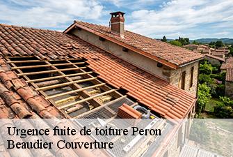 Urgence fuite de toiture  peron-01630 Beaudier Couverture 