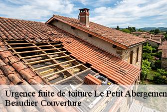 Urgence fuite de toiture  le-petit-abergement-01260 Beaudier Couverture 