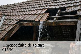 Urgence fuite de toiture pougny-01550 Kenji Lagrenee Couverture