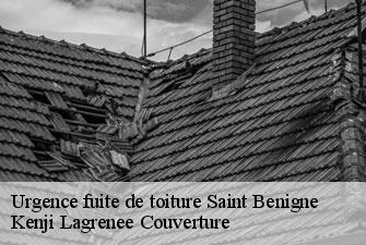Urgence fuite de toiture saint-benigne-01190 Kenji Lagrenee Couverture