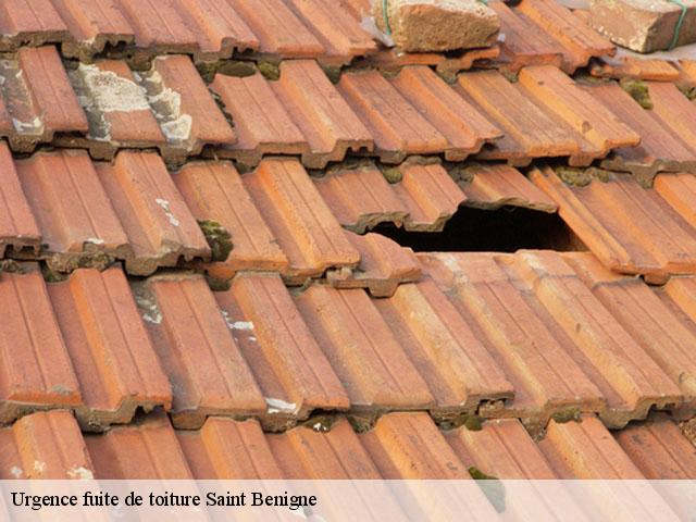 Urgence fuite de toiture  saint-benigne-01190 