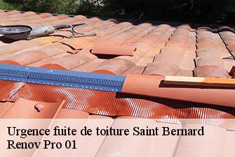 Urgence fuite de toiture  saint-bernard-01600 Renov Pro 01