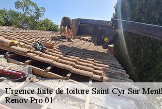 Urgence fuite de toiture  saint-cyr-sur-menthon-01380 Renov Pro 01