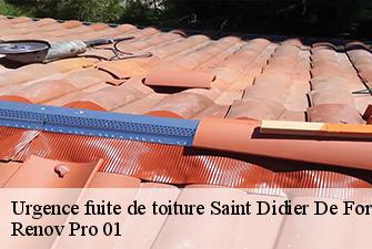 Urgence fuite de toiture  saint-didier-de-formans-01600 Renov Pro 01
