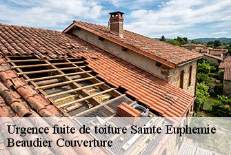 Urgence fuite de toiture  sainte-euphemie-01600 Beaudier Couverture 