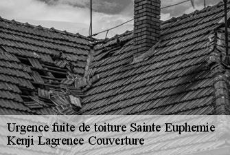 Urgence fuite de toiture sainte-euphemie-01600 Kenji Lagrenee Couverture