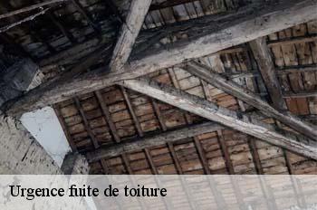 Urgence fuite de toiture  saint-genis-sur-menthon-01380 