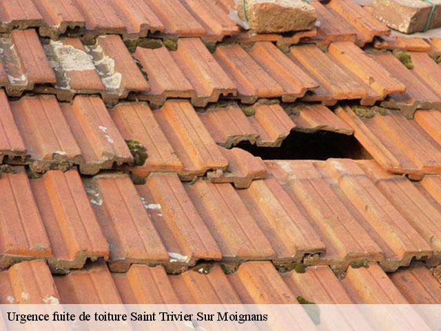 Urgence fuite de toiture  saint-trivier-sur-moignans-01990 