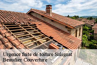 Urgence fuite de toiture  sulignat-01400 Beaudier Couverture 